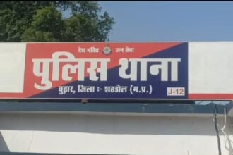 WhatsApp Image 2024 03 13 at 4.10.29 PM