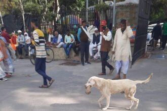 WhatsApp Image 2024 03 16 at 11.20.37 AM