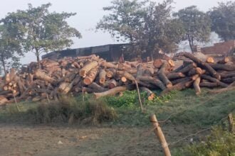 WhatsApp Image 2024 03 21 at 5.15.26 PM