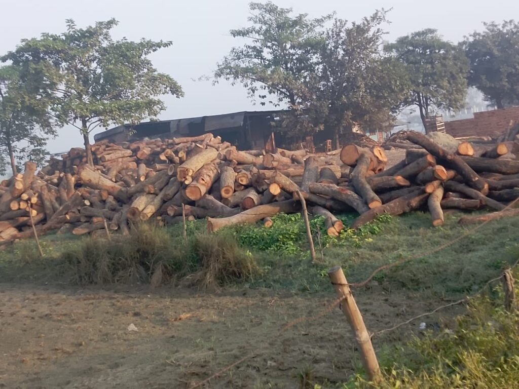 Sitapur: आम की ताजी लकड़ी से पटी जहांगीराबाद लकड़ी मण्डी: वन विभाग और पुलिस की मिलीभगत से फल-फूल रहा अवैध धंधा 2 WhatsApp Image 2024 03 21 at 5.15.27 PM