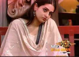 Ayesha Khan Hospitalized: अस्पताल में भर्ती हुईं 'बिग बॉस 17' फेम आयशा खान, कहा- 'मैं फिर...' 5 image 254