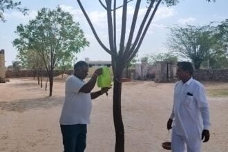 WhatsApp Image 2024 04 22 at 6.58.07 AM