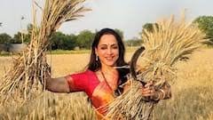Lok Sabha Election: तपती दोपहरी में खेत में पहुंची हेमा मालिनी, कांजीवरम साड़ी पहन काटी गेहूं की फसल, तस्वीरें वायरल 1 image 150