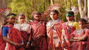 Tribal: भारत में आदिवासियों को 'अनुसूचित जनजाति' क्यों कहा जाता है?: 1 image 17