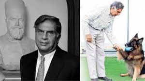 Ratan Tata Will: रतन टाटा वसीयत में अपने कुत्ते टीटो से लेकर बटलर, भाई और शांतनु नायडू के लिए क्या कुछ गए छोड़कर! 2 image 212