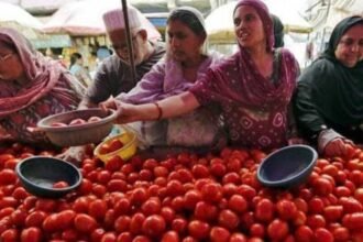 Pakistan-Afghanistan Border Dispute: सीमा विवाद की मार! पाकिस्तान में टमाटर ₹120 से ₹600 प्रति किलो, 5000 कंटेनर फंसे; अफगानिस्तान को हो रहा $10 लाख का रोज़ाना नुकसान! 7 hqdefault 1