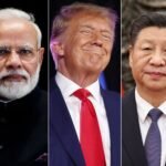 trump again 1731241549504