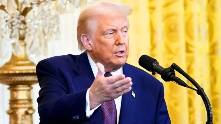 WhatsApp Image 2025 11 10 at 2.52.34 PM