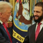 WhatsApp Image 2025 11 12 at 9.09.34 AM 4