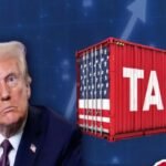 WhatsApp Image 2025 11 15 at 9.45.27 AM