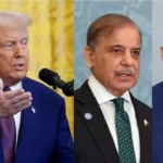 WhatsApp Image 2025 11 20 at 8.35.04 AM 1