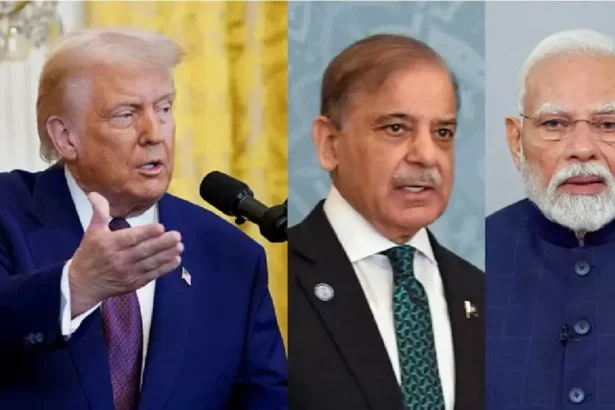 WhatsApp Image 2025 11 20 at 8.35.04 AM 1