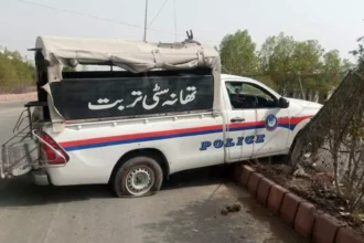 WhatsApp Image 2025 11 22 at 9.06.56 AM 3