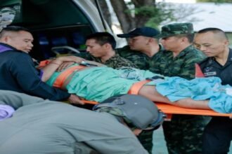 WhatsApp Image 2025 12 06 at 4.52.33 PM 1