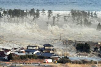 WhatsApp Image 2025 12 09 at 4.34.14 PM 1