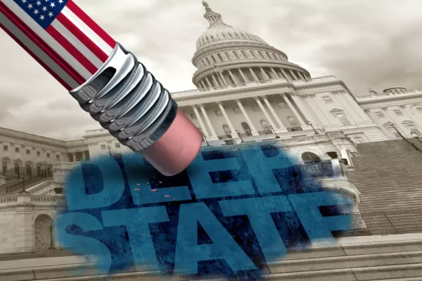 WhatsApp Image 2026 01 06 at 3.12.34 PM