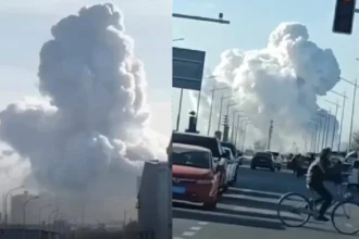 WhatsApp Image 2026 01 09 at 5.11.13 PM 16