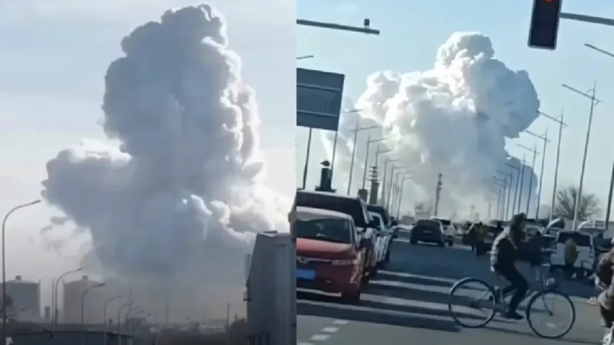 WhatsApp Image 2026 01 09 at 5.11.13 PM 16