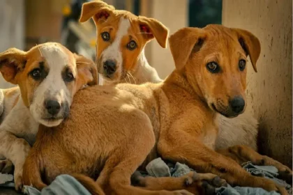 WhatsApp Image 2026 01 14 at 2.41.32 PM 1