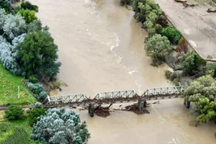 WhatsApp Image 2026 01 21 at 9.14.04 PM 1