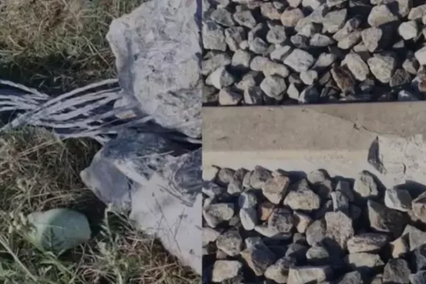 WhatsApp Image 2026 01 23 at 4.51.35 PM 4