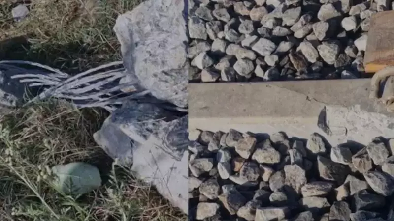 WhatsApp Image 2026 01 23 at 4.51.35 PM 4