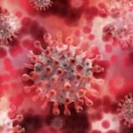 WhatsApp Image 2026 01 31 at 3.02.44 PM 3