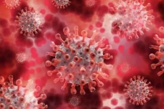 WhatsApp Image 2026 01 31 at 3.02.44 PM 3