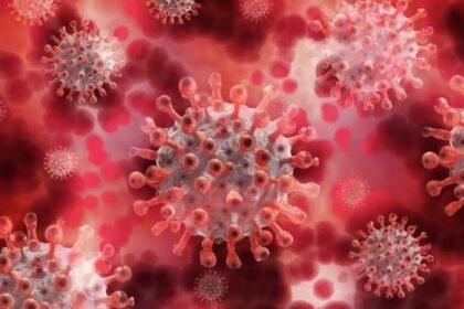 WhatsApp Image 2026 01 31 at 3.02.44 PM 3