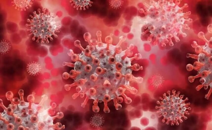 WhatsApp Image 2026 01 31 at 3.02.44 PM 3