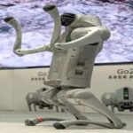 WhatsApp Image 2026 02 11 at 8.02.54 PM