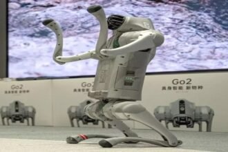 WhatsApp Image 2026 02 11 at 8.02.54 PM