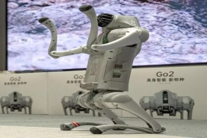 WhatsApp Image 2026 02 11 at 8.02.54 PM