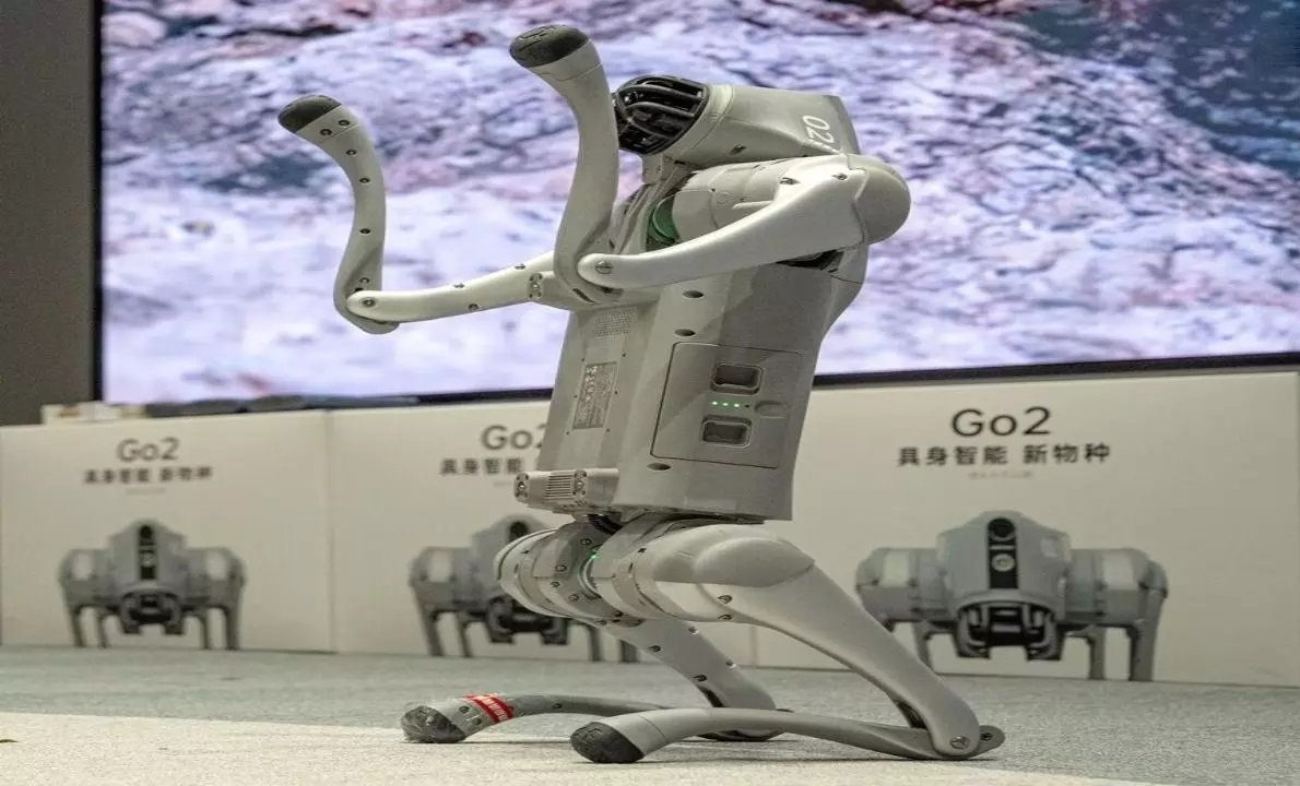 WhatsApp Image 2026 02 11 at 8.02.54 PM