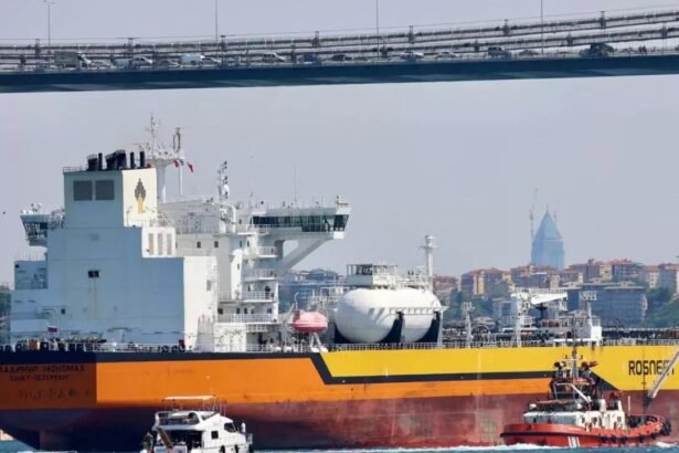 WhatsApp Image 2026 03 06 at 8.14.27 PM 1 1