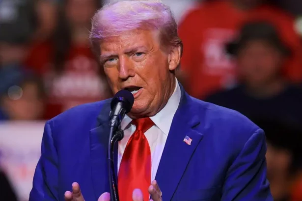 WhatsApp Image 2026 03 08 at 12.47.59 PM 1