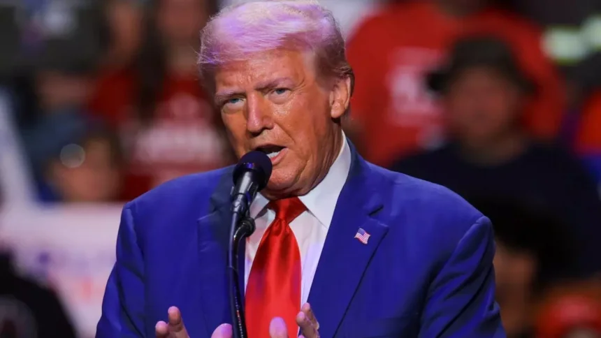 WhatsApp Image 2026 03 08 at 12.47.59 PM 1