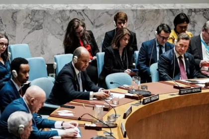 WhatsApp Image 2026 03 12 at 8.42.01 PM