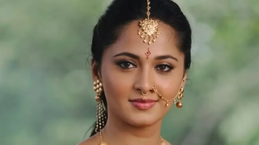 WhatsApp Image 2026 03 13 at 11.03.31 PM 1