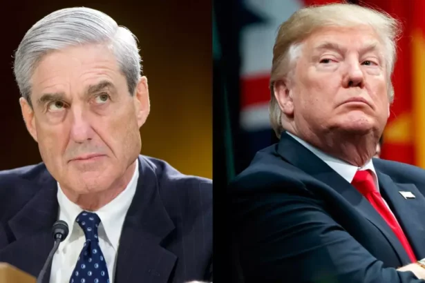 WhatsApp Image 2026 03 21 at 3.41.46 PM