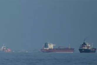 WhatsApp Image 2026 03 31 at 10.20.58 AM 1 1 1