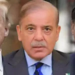 WhatsApp Image 2026 04 06 at 1.33.43 AM 4