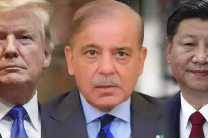 WhatsApp Image 2026 04 06 at 1.33.43 AM 4