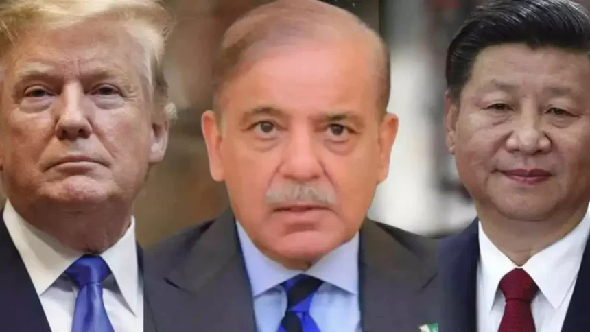 WhatsApp Image 2026 04 06 at 1.33.43 AM 4