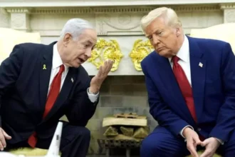 WhatsApp Image 2026 04 06 at 1.33.43 AM 5