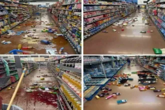 WhatsApp Image 2026 04 13 at 11.31.50 AM 1 1