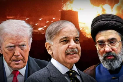 WhatsApp Image 2026 04 13 at 11.31.50 AM 1 2