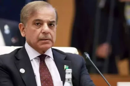 WhatsApp Image 2026 04 13 at 11.31.50 AM 1