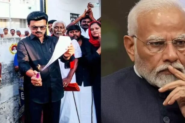 WhatsApp Image 2026 04 15 at 11.17.12 AM 3