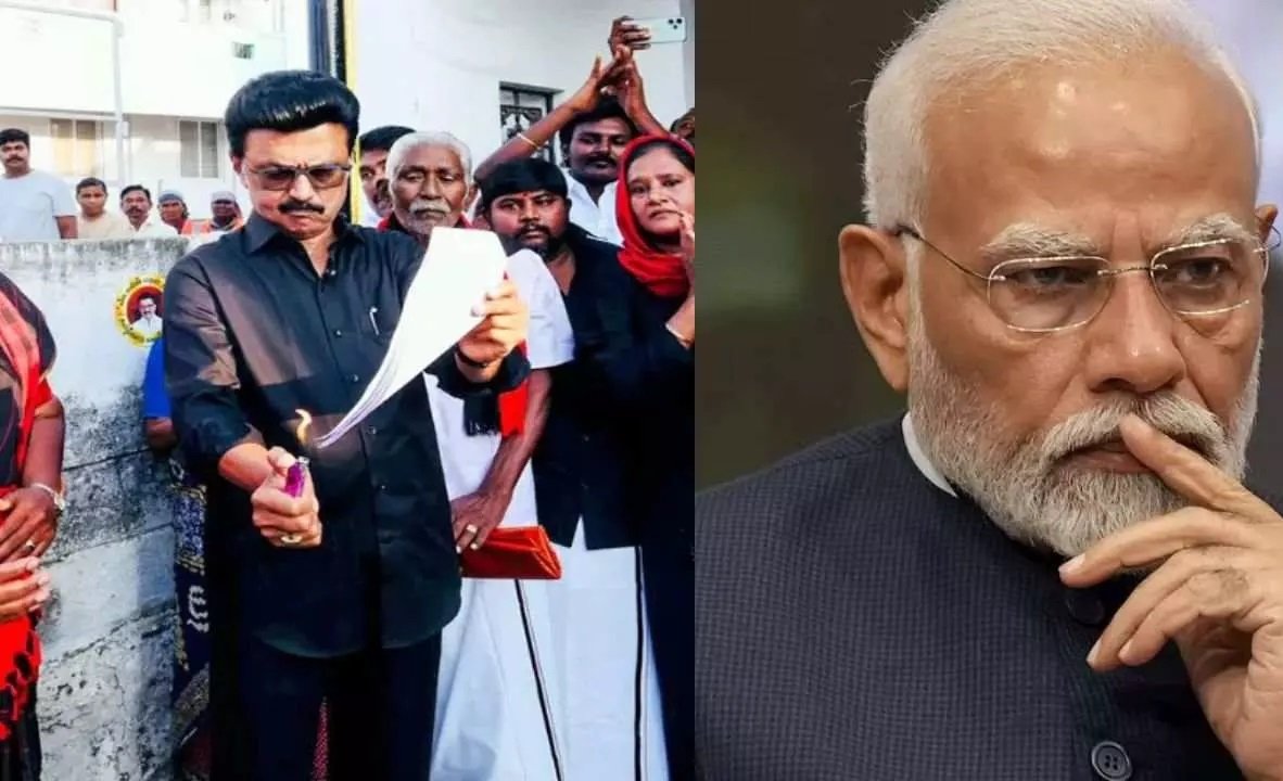 WhatsApp Image 2026 04 15 at 11.17.12 AM 3